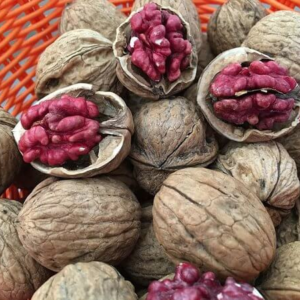 hạt óc chó