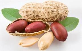 hạt đậu phộng tím bmt